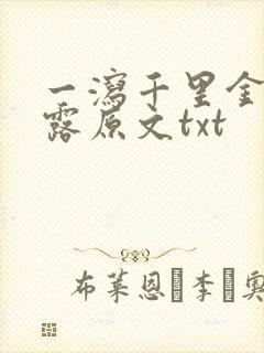 一泻千里金银花露原文txt