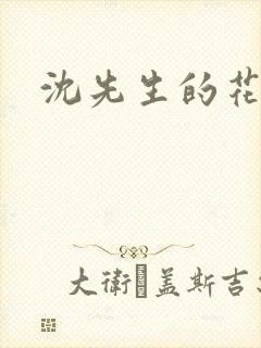 沈先生的花式调