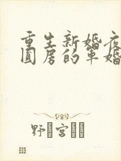 重生新婚夜正在圆房的军婚