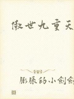 傲世九重天小说