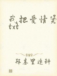 我把爱情煲成汤txt