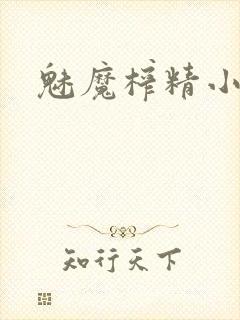 魅魔榨精小说