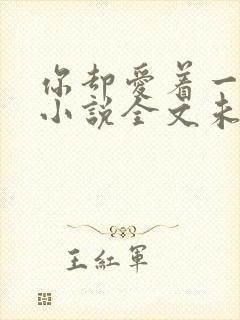 你却爱着一个他小说全文未删减免费