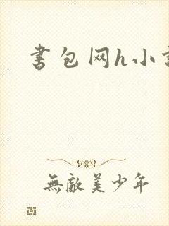书包网h小说