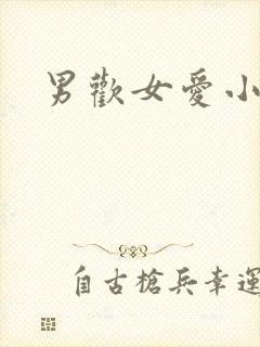 男欢女爱小说