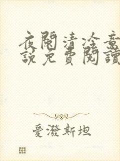 夜阑清冷意欢小说免费阅读