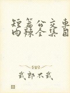 短篇公交车高h肉辣全集目录