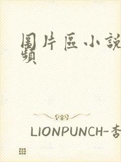 图片区小说区视频