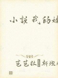 小说 我的娇妻