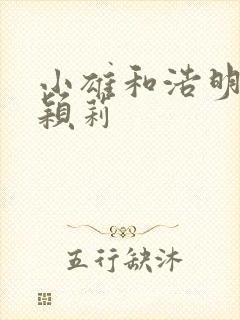 小雄和浩明夹击颖莉