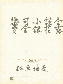 乐可小说全文免费金银花露