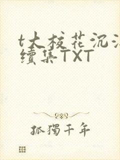 t大校花沉浮录续集TXT