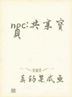 npc:共享宝贝