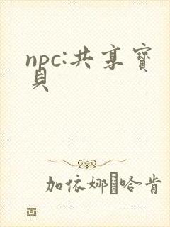 npc:共享宝贝