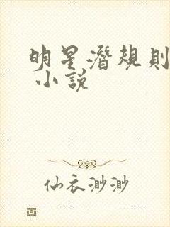 明星潜规则之皇 小说