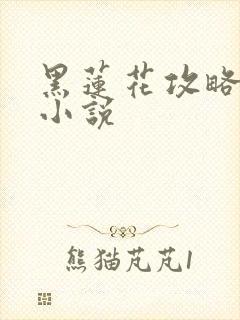 黑莲花攻略手册小说