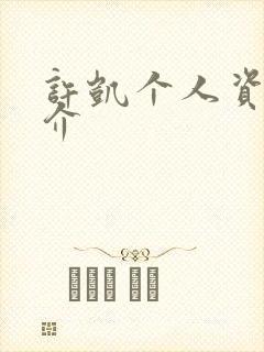 许凯个人资料简介