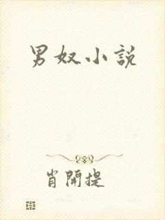 男奴小说