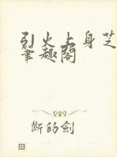 引火上身芝麻糖笔趣阁