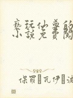 亵玩仙尊的道侣小说免费阅读