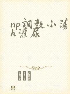 np调教小荡货h灌尿