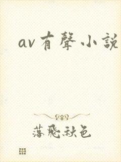 av有声小说