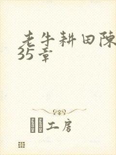 老牛耕田陈雪435章