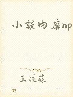 小说肉糜np