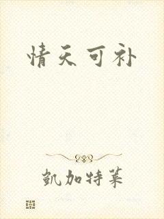 情天可补
