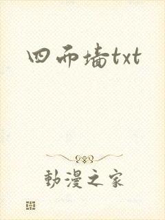 四面墙txt