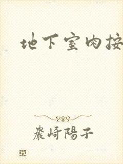 地下室肉按摩椅