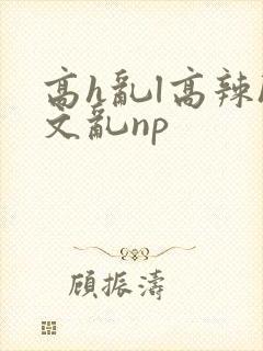 高h乱l高辣h文乱np