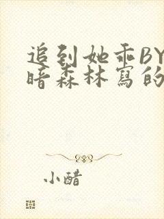 追到她乖BY黑暗森林写的小说