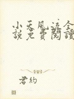 小天风流全集小说免费阅读