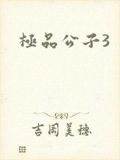 极品公子3