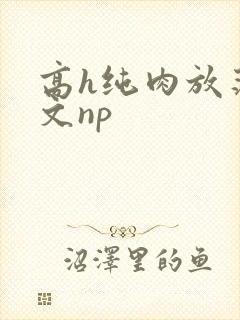 高h纯肉放荡h文np