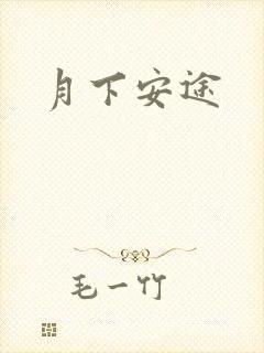 月下安途