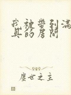 我被带到满是玩具的房间