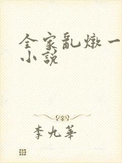 全家乱炖一锅烩小说