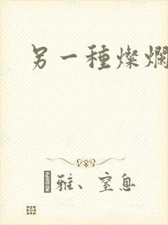 另一种灿烂生活