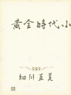 黄金时代小说