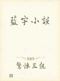 蓝宇小说