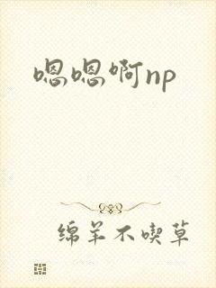 嗯嗯啊np