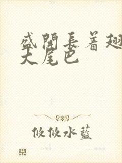 盛开长着翅膀的大尾巴