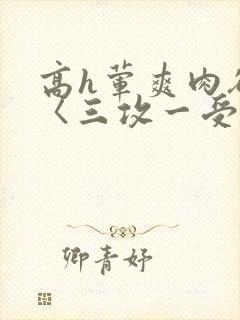 高h荤爽肉欲文〈三攻一受