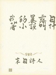 我的暴露日记原著小说叫什么