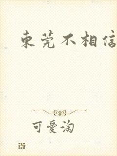 东莞不相信眼泪