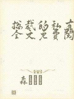 总裁的私有宝贝全文免费阅读