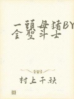 一头母猪BY黄金圣斗士