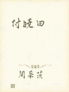 付晓田
